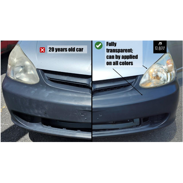 Flash Back Plastic Restorer & Protector