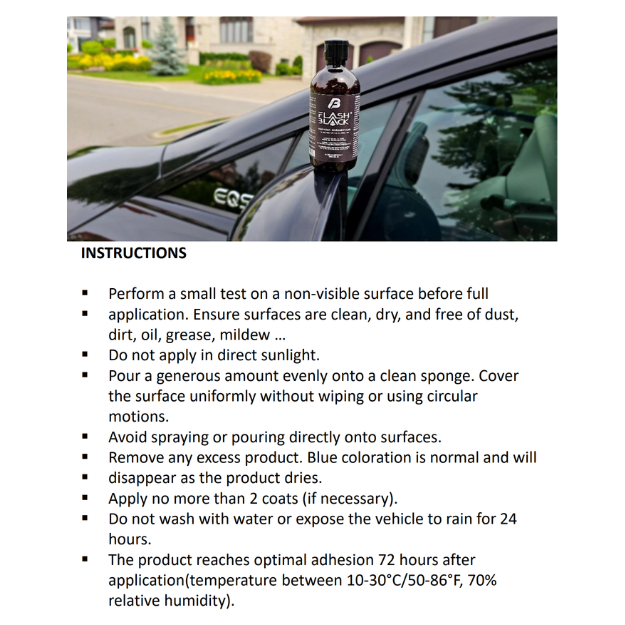 Flash Back Plastic Restorer & Protector